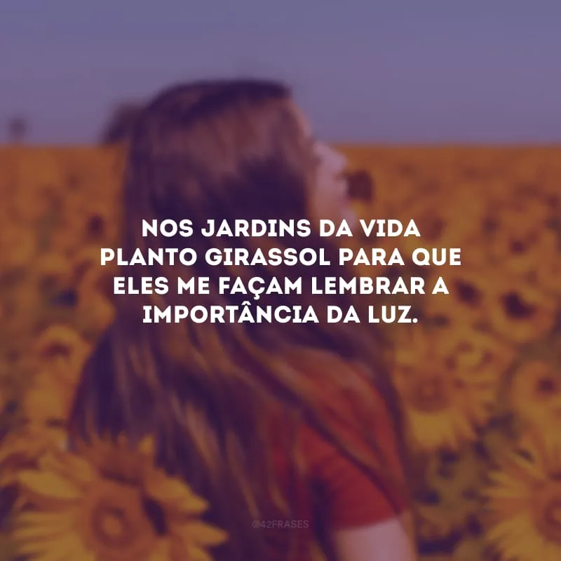 Nos jardins da vida planto girassol para que eles me façam lembrar a importância da luz.