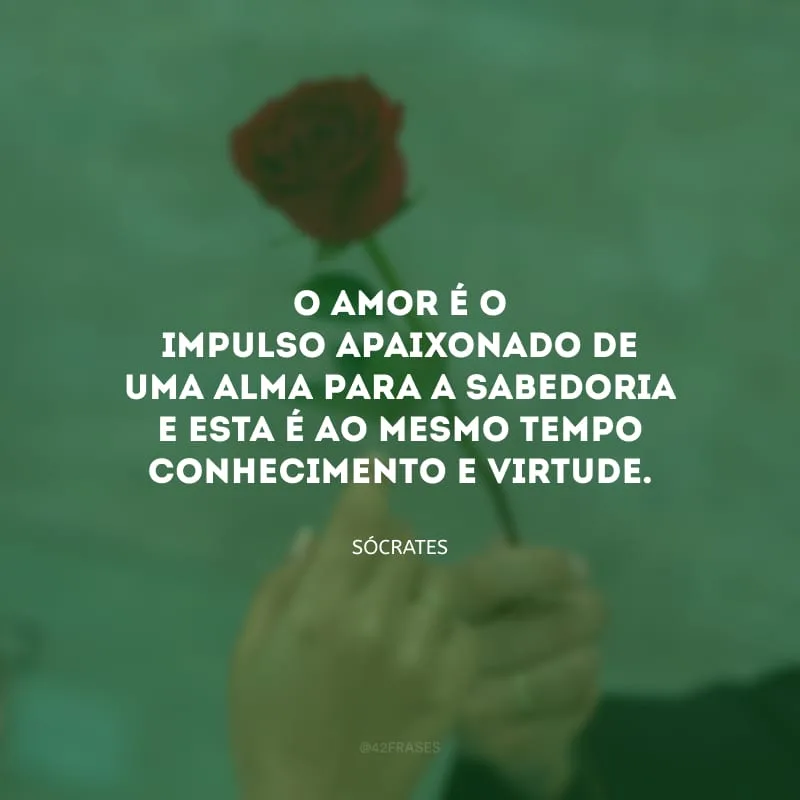 O amor é o impulso apaixonado de uma alma para a sabedoria e esta é ao mesmo tempo conhecimento e virtude.