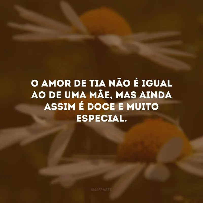 O amor de tia não é igual ao de uma mãe, mas ainda assim é doce e muito especial.