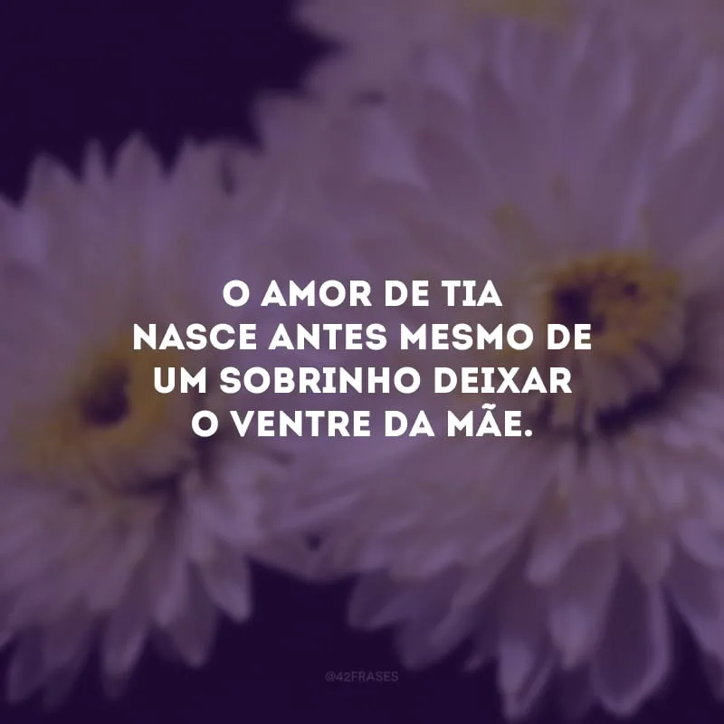 O amor de tia nasce antes mesmo de um sobrinho deixar o ventre da mãe.