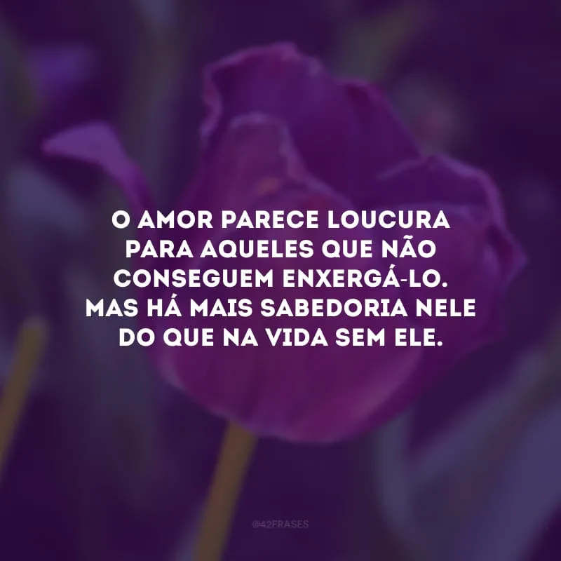 O amor parece loucura para aqueles que não conseguem enxergá-lo. Mas há mais sabedoria nele do que na vida sem ele.