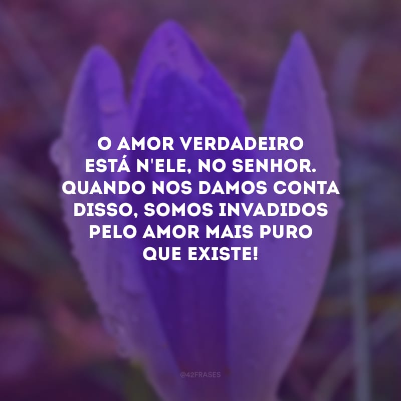 O amor verdadeiro está n\'Ele, no Senhor. Quando nos damos conta disso, somos invadidos pelo amor mais puro que existe! 