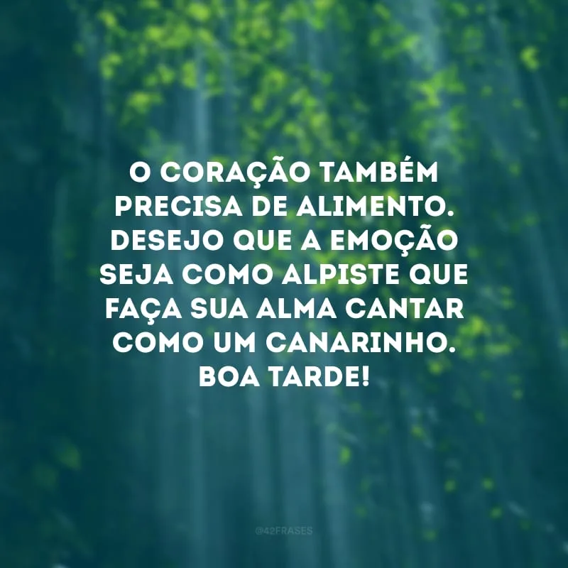 O coração também precisa de alimento. Desejo que a emoção seja como alpiste que faça sua alma cantar como um canarinho. Boa tarde!