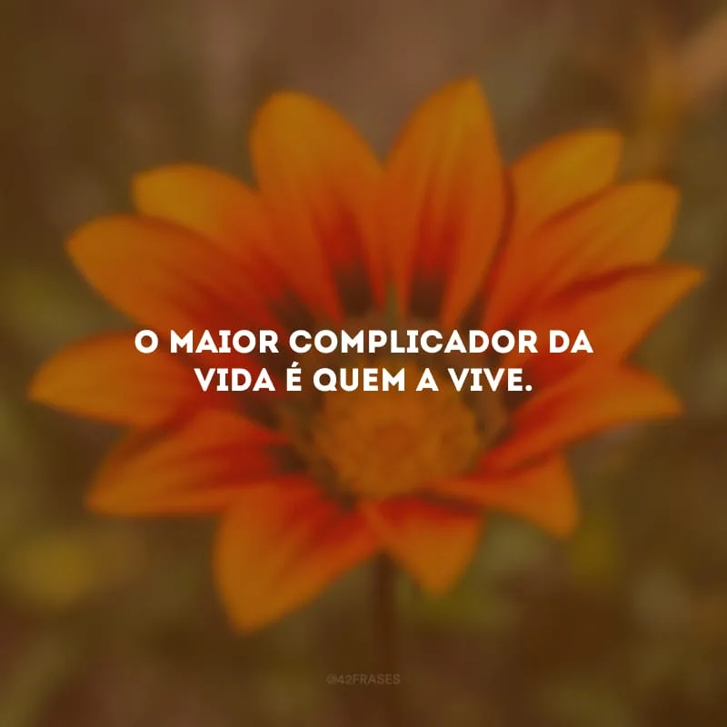 O maior complicador da vida é quem a vive. 