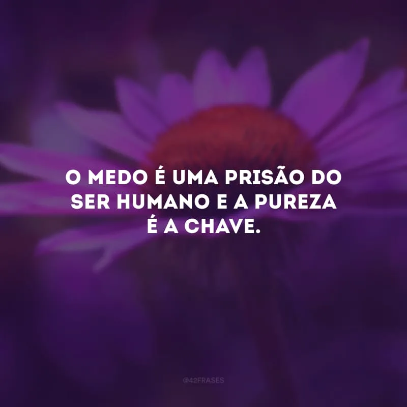 O medo é uma prisão do ser humano e a pureza é a chave.