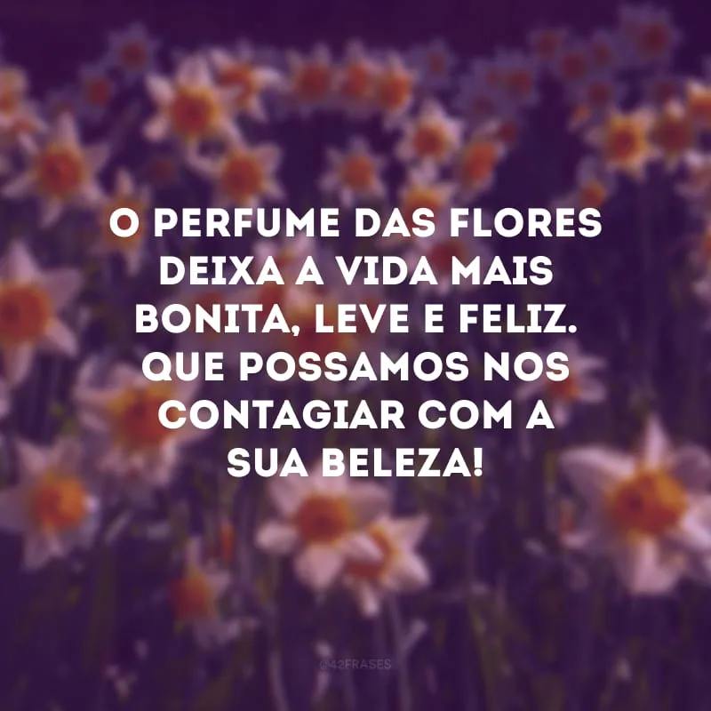 O perfume das flores deixa a vida mais bonita, leve e feliz. Que possamos nos contagiar com a sua beleza!