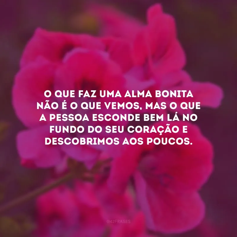 O que faz uma alma bonita não é o que vemos, mas o que a pessoa esconde bem lá no fundo do seu coração e descobrimos aos poucos.