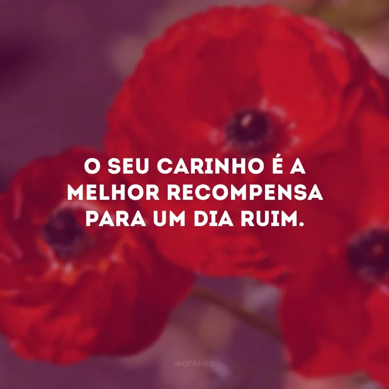 O seu carinho é a melhor recompensa para um dia ruim.