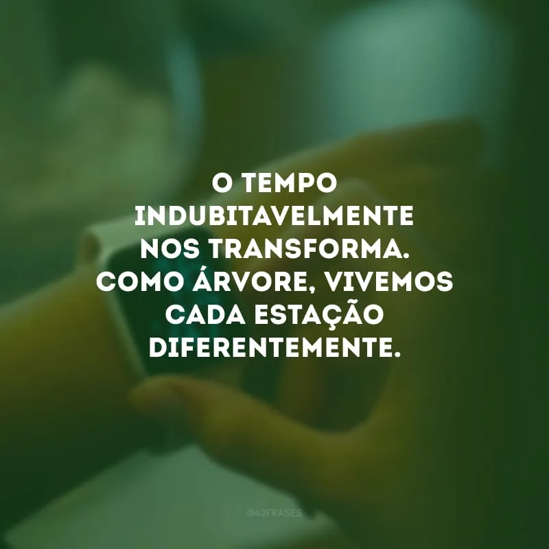 O tempo indubitavelmente nos transforma. Como árvore, vivemos cada estação diferentemente. 