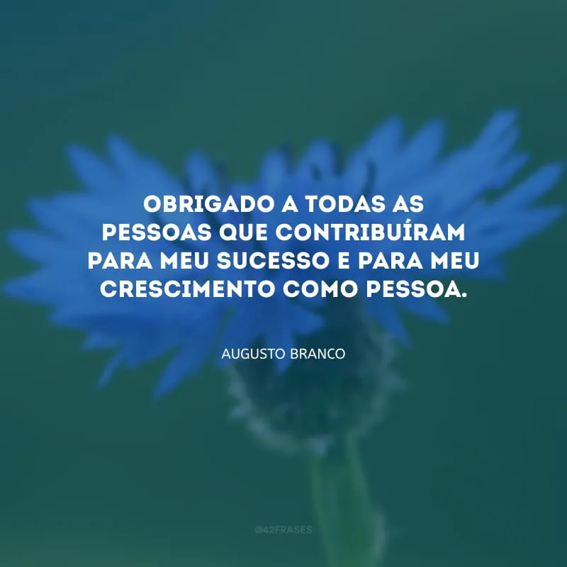 Obrigado a todas as pessoas que contribuíram para meu sucesso e para meu crescimento como pessoa.
