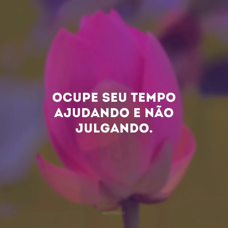 Ocupe seu tempo ajudando e não julgando.