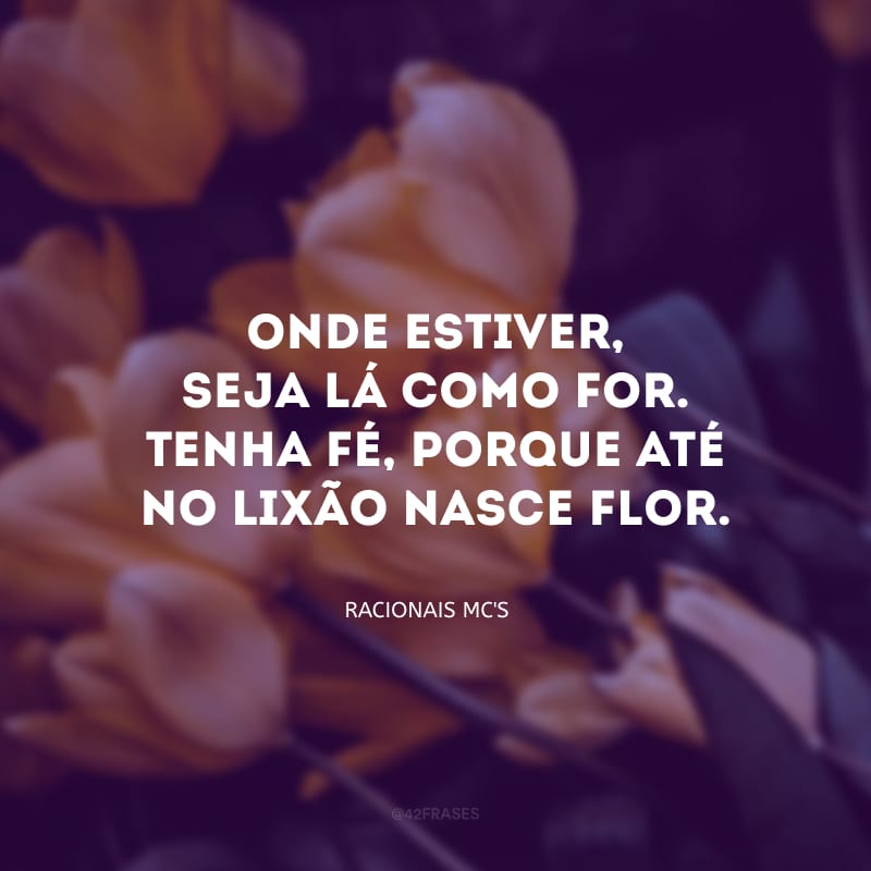 Onde estiver, seja lá como for. Tenha fé, porque até no lixão nasce flor.