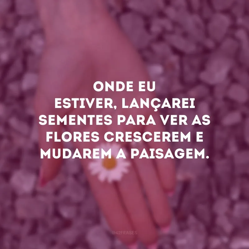 Onde eu estiver, lançarei sementes para ver as flores crescerem e mudarem a paisagem.