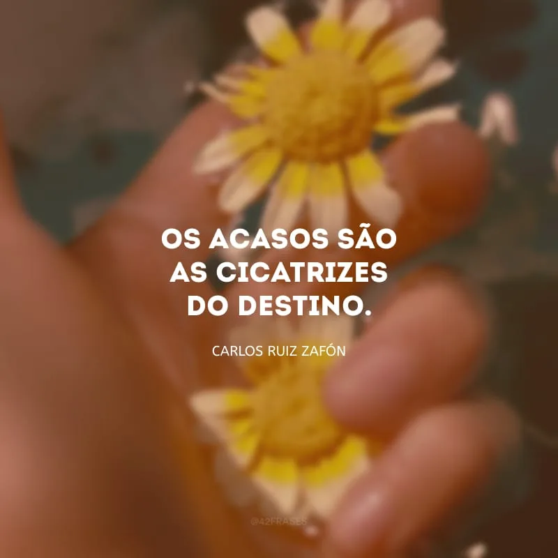 Os acasos são as cicatrizes do destino.