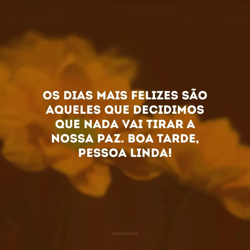 Os dias mais felizes são aqueles que decidimos que nada vai tirar a nossa paz. Boa tarde, pessoa linda!