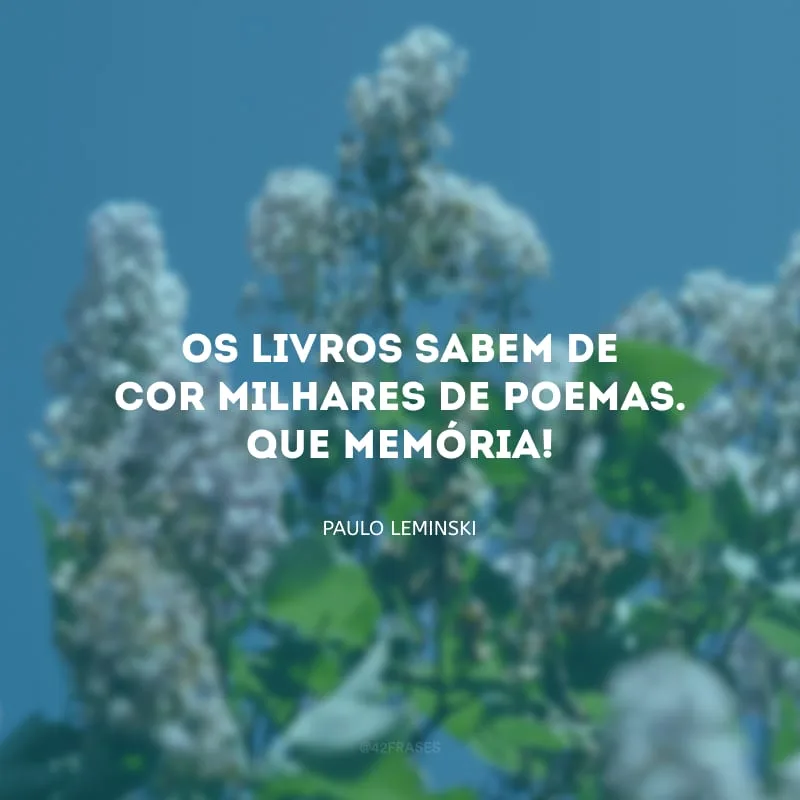 Os livros sabem de cor milhares de poemas. Que memória!