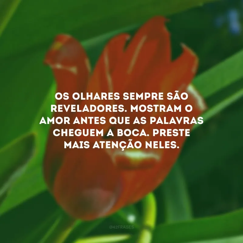 Os olhares sempre são reveladores. Mostram o amor antes que as palavras cheguem a boca. Preste mais atenção neles.