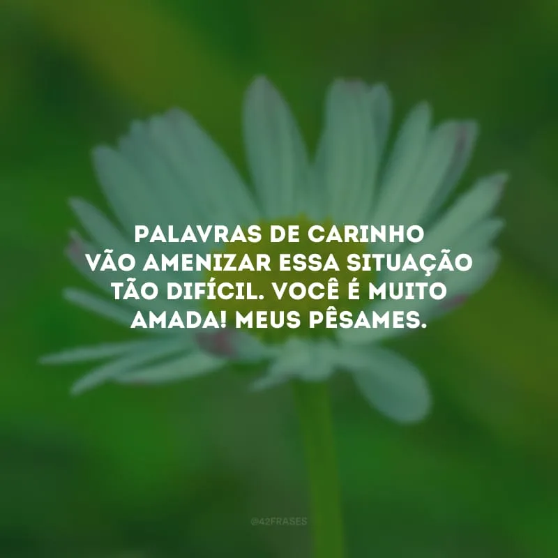 Palavras de carinho vão amenizar essa situação tão difícil. Você é muito amada! Meus pêsames.