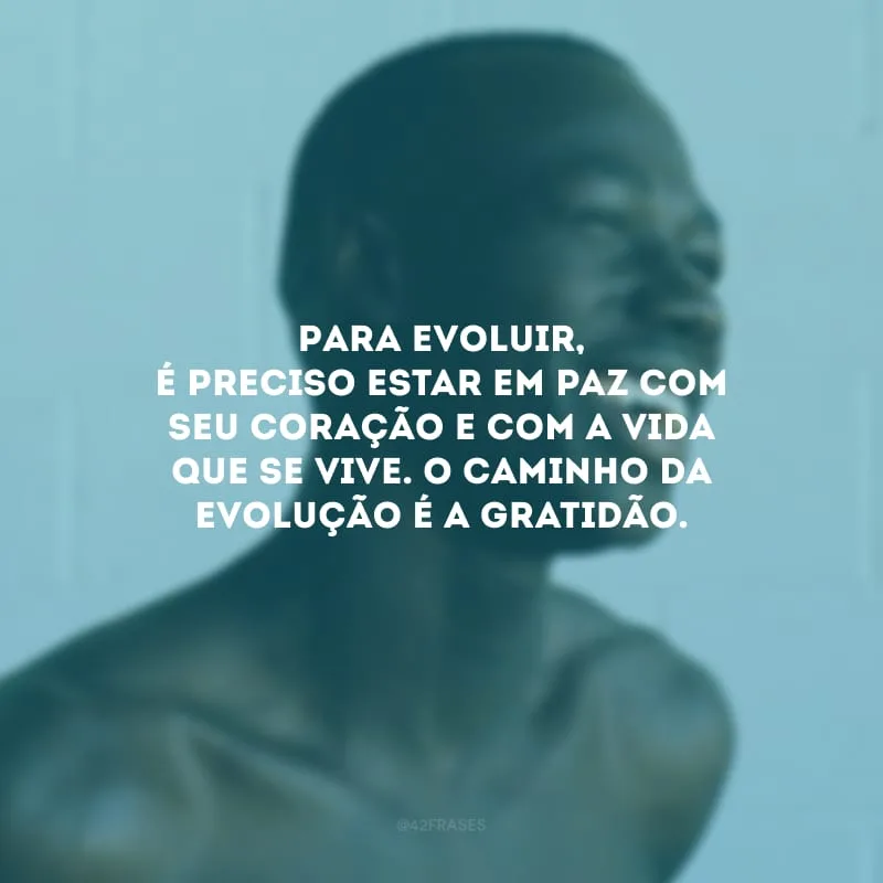 Para evoluir, é preciso estar em paz com seu coração e com a vida que se vive. O caminho da evolução é a gratidão.