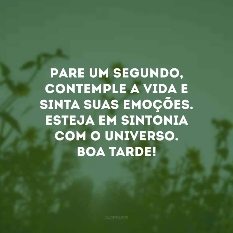 Pare um segundo, contemple a vida e sinta suas emoções. Esteja em sintonia com o universo. Boa tarde!