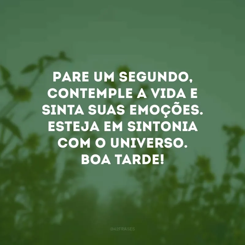 Pare um segundo, contemple a vida e sinta suas emoções. Esteja em sintonia com o universo. Boa tarde!