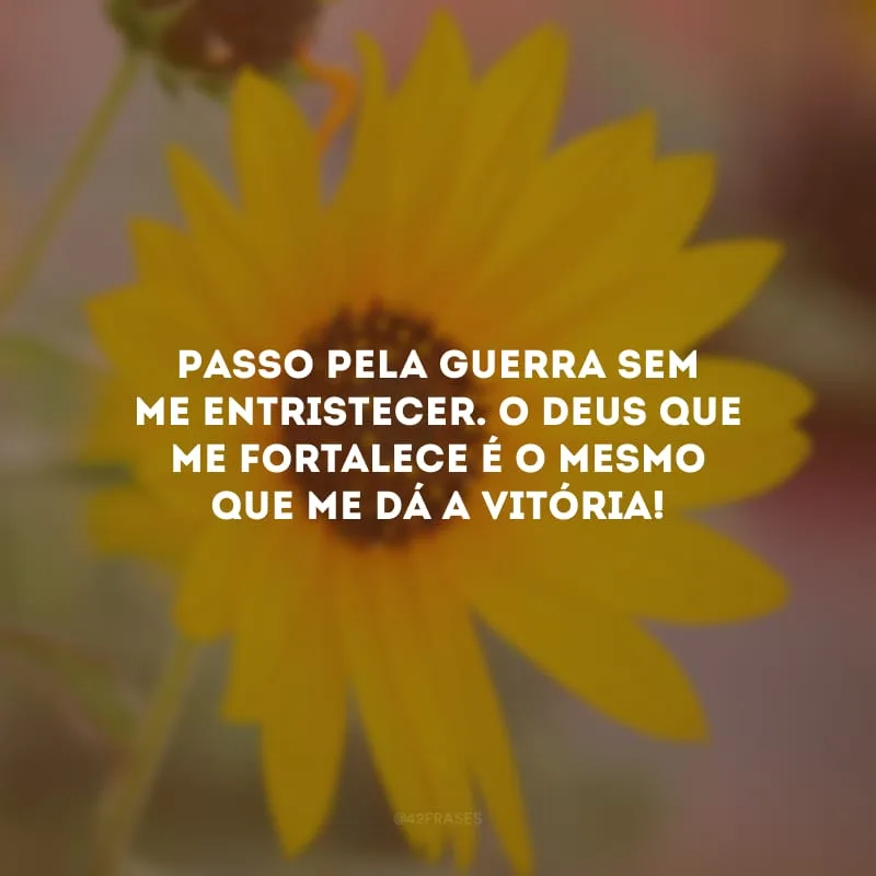 Passo pela guerra sem me entristecer. O Deus que me fortalece é o mesmo que me dá a vitória! 