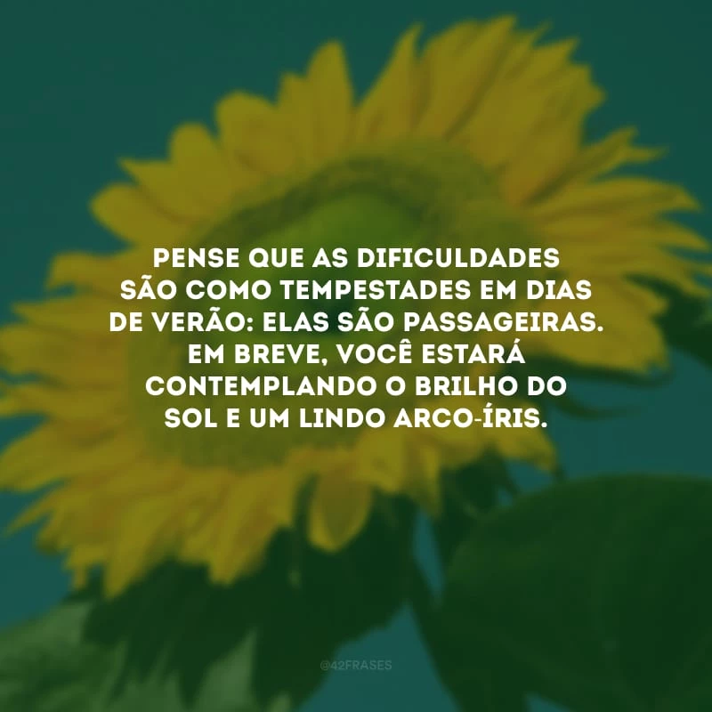 Pense que as dificuldades são como tempestades em dias de verão: elas são passageiras. Em breve, você estará contemplando o brilho do sol e um lindo arco-íris.