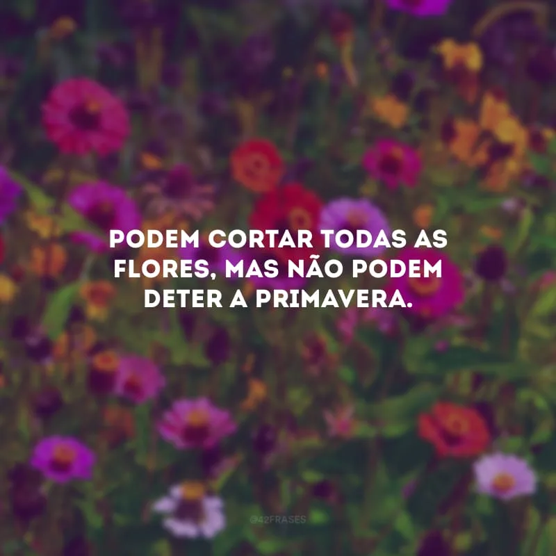 Podem cortar todas as flores, mas não podem deter a primavera.