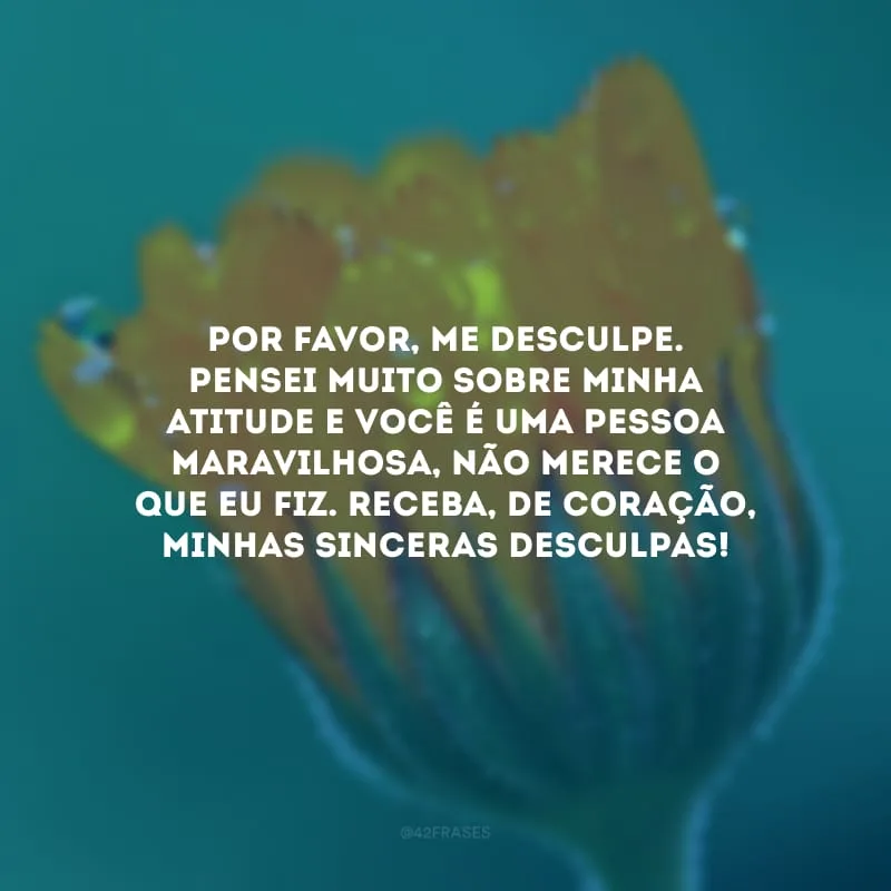 Por favor, me desculpe. Pensei muito sobre minha atitude e você é uma pessoa maravilhosa, não merece o que eu fiz. Receba, de coração, minhas sinceras desculpas!