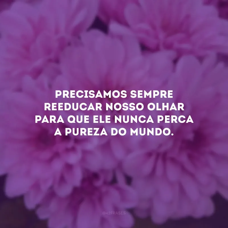Precisamos sempre reeducar nosso olhar para que ele nunca perca a pureza do mundo.