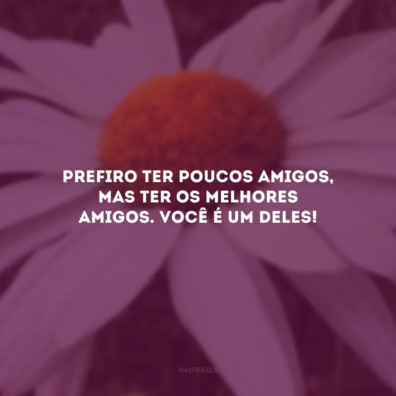 Prefiro ter poucos amigos, mas ter os melhores amigos. Você é um deles!