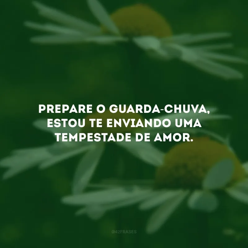 Prepare o guarda-chuva, estou te enviando uma tempestade de amor.