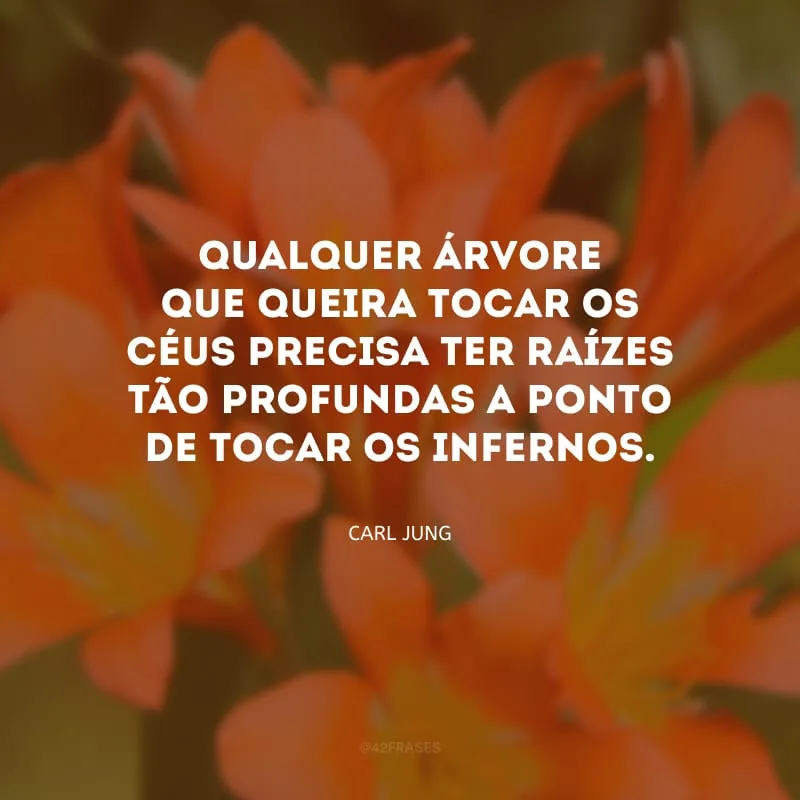 Qualquer árvore que queira tocar os céus precisa ter raízes tão profundas a ponto de tocar os infernos.