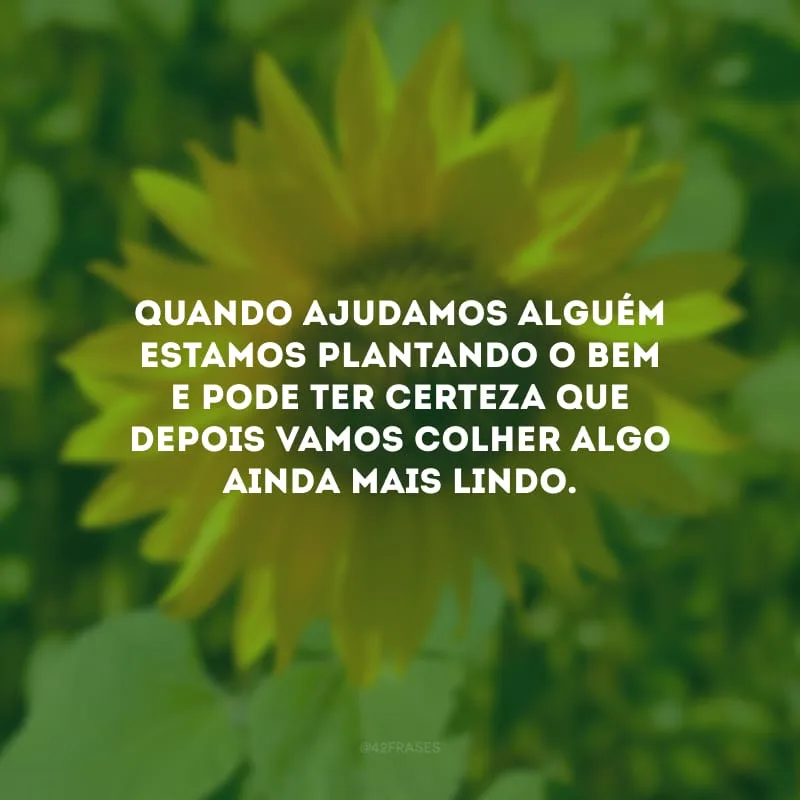 Quando ajudamos alguém estamos plantando o bem e pode ter certeza que depois vamos colher algo ainda mais lindo.