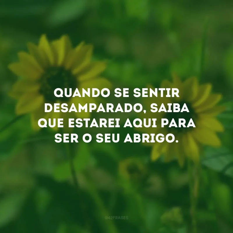 Quando se sentir desamparado, saiba que estarei aqui para ser o seu abrigo.