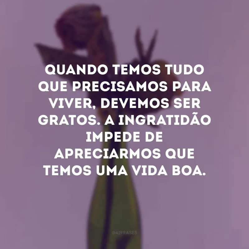 Quando temos tudo que precisamos para viver, devemos ser gratos. A ingratidão impede de apreciarmos que temos uma vida boa.