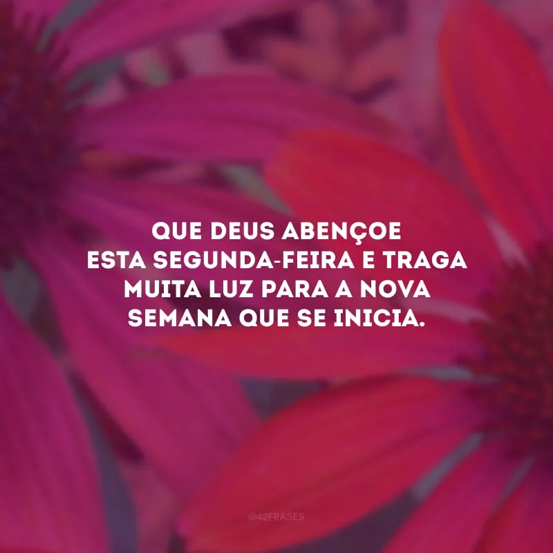 Que Deus abençoe esta segunda-feira e traga muita luz para a nova semana que se inicia.