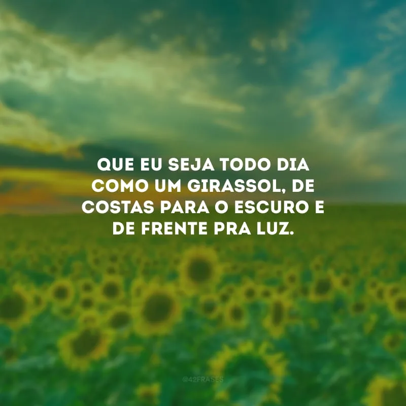 Que eu seja todo dia como um girassol, de costas para o escuro e de frente pra luz.