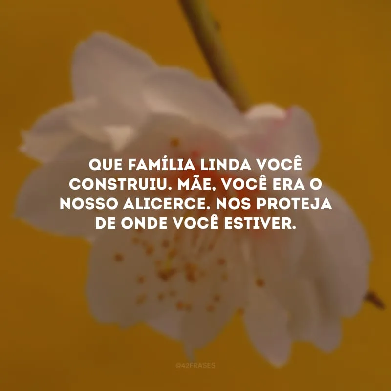 Que família linda você construiu. Mãe, você era o nosso alicerce. Nos proteja de onde você estiver.