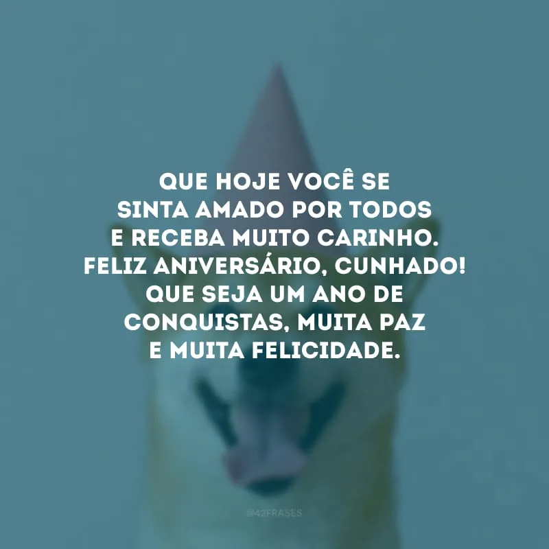 Que hoje você se sinta amado por todos e receba muito carinho. Feliz aniversário, cunhado! Que seja um ano de conquistas, muita paz e muita felicidade.