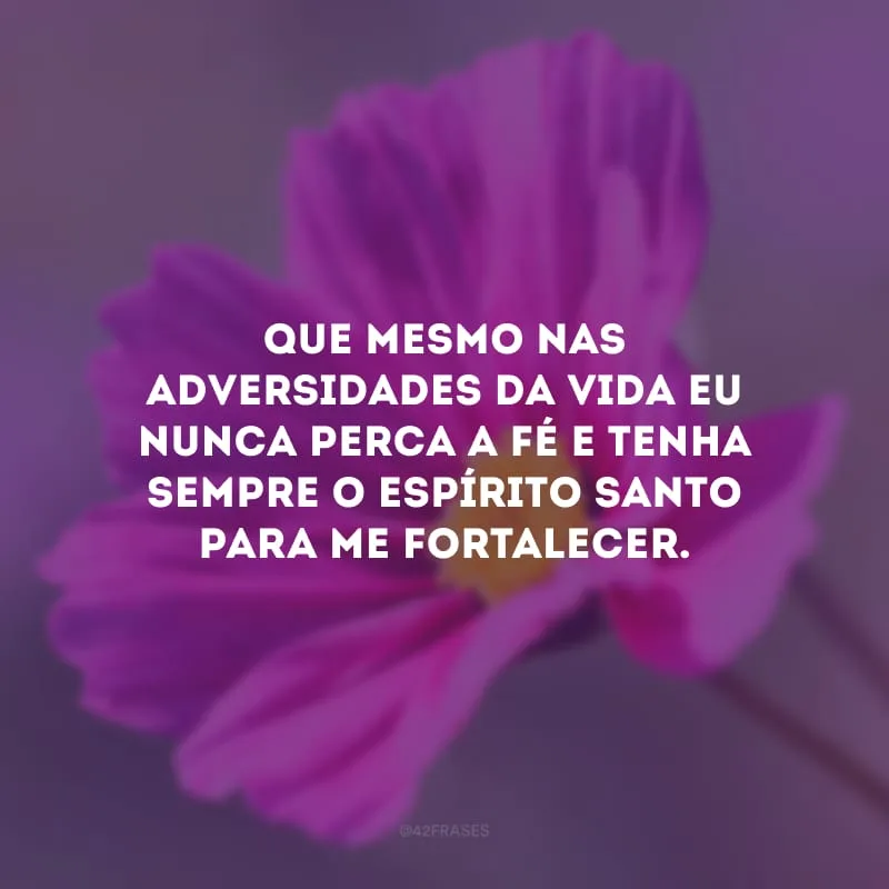 Que mesmo nas adversidades da vida eu nunca perca a fé e tenha sempre o Espírito Santo para me fortalecer. 