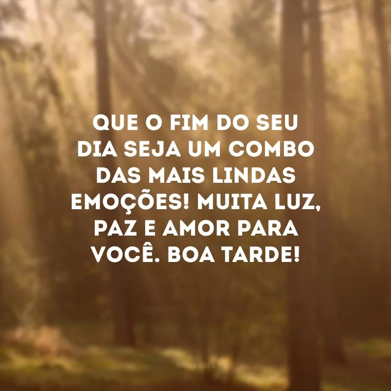 Que o fim do seu dia seja um combo das mais lindas emoções! Muita luz, paz e amor para você. Boa tarde!