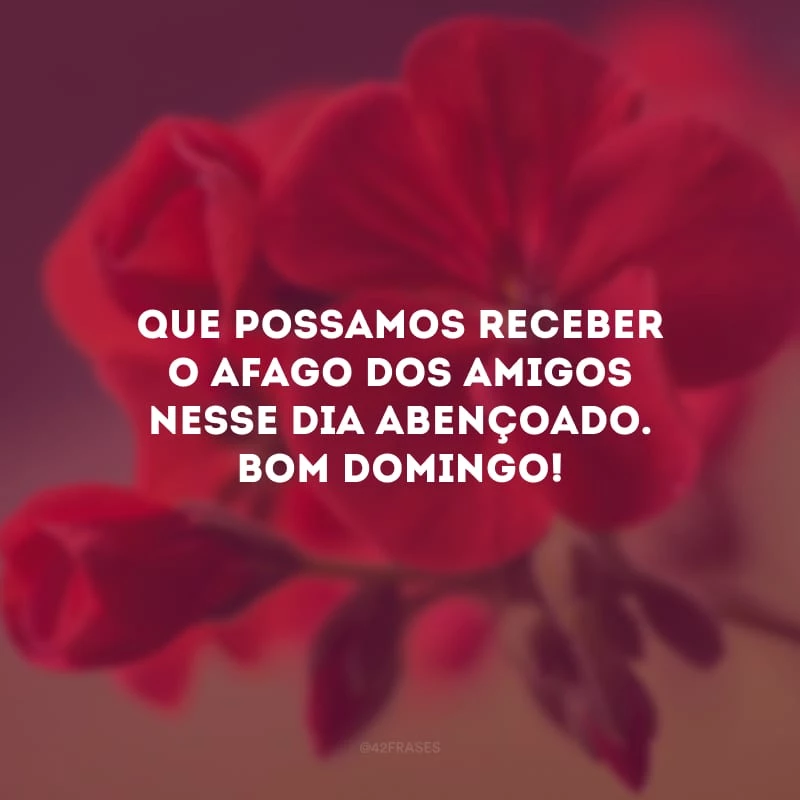 Que possamos receber o afago dos amigos nesse dia abençoado. Bom domingo!