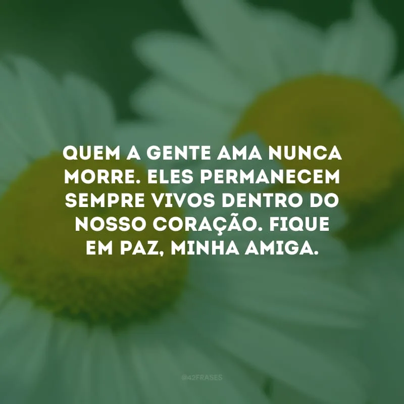 Quem a gente ama nunca morre. Eles permanecem sempre vivos dentro do nosso coração. Fique em paz, minha amiga.