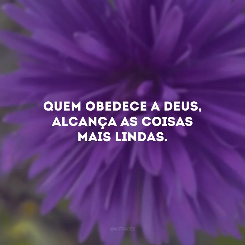 Quem obedece a Deus, alcança as coisas mais lindas.