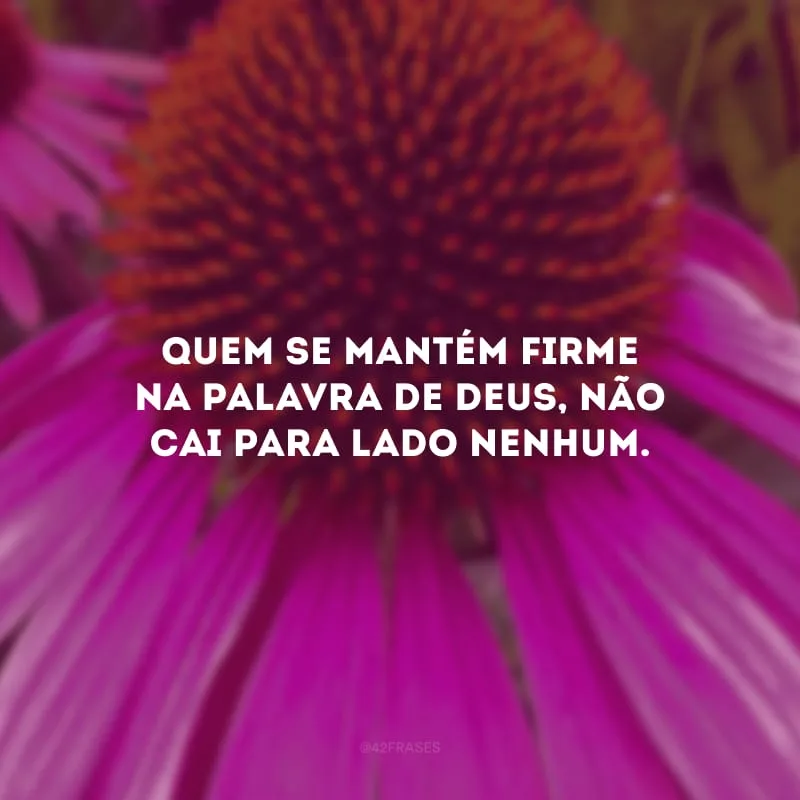 Quem se mantém firme na palavra de Deus, não cai para lado nenhum.