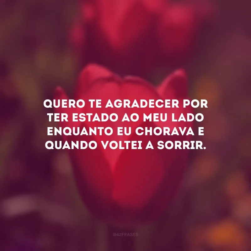 Quero te agradecer por ter estado ao meu lado enquanto eu chorava e quando voltei a sorrir.
