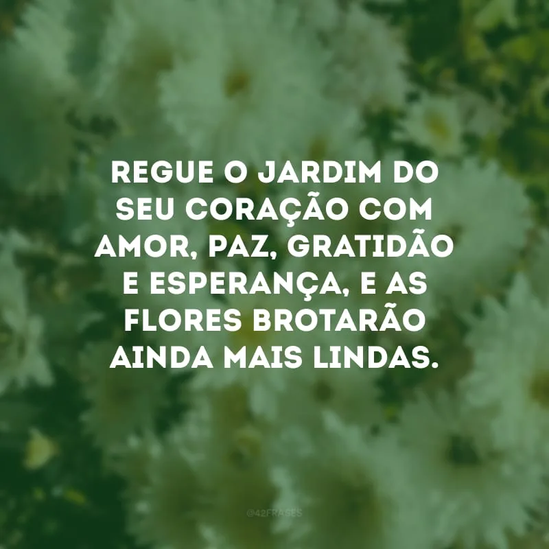 Regue o jardim do seu coração com amor, paz, gratidão e esperança, e as flores brotarão ainda mais lindas.