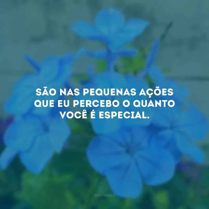São nas pequenas ações que eu percebo o quanto você é especial. 