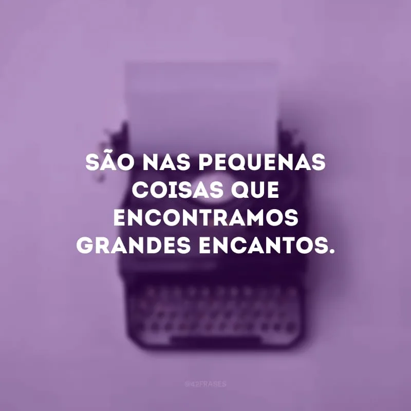 São nas pequenas coisas que encontramos grandes encantos.
